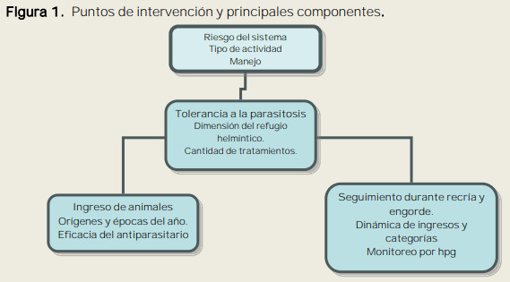 Control de la helmintiasis en bovinos de invernada en el contexto de resistencia a los antiparasitarios - Image 1
