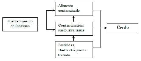 Riesgos en el Mercado de exportación asociado a contaminación de la carne de cerdo con dioximas, furanos y PCBs. elaborando programas de vigilancia en la Industria Nacional - Image 1