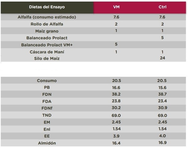 Prolact VM+ - Más leche todo el año - Image 1