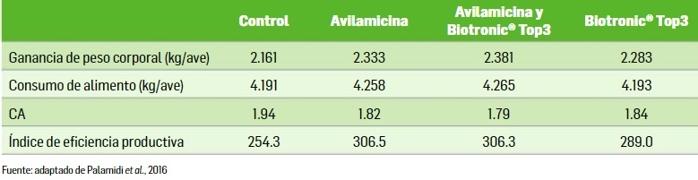 Nuevos resultados sobre la promoción del crecimiento natural de pollos de engorde vs. el uso de APCs - Image 2