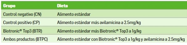 Nuevos resultados sobre la promoción del crecimiento natural de pollos de engorde vs. el uso de APCs - Image 1