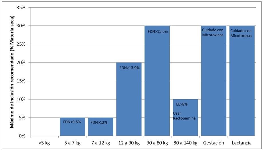 Recomendaciones para el uso de DDGS de maíz en dietas para cerdos - Image 3
