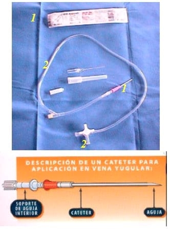 Desarrollo de un sistema para la administración de soluciones hidroeletrolíticas en bovinos - Image 2