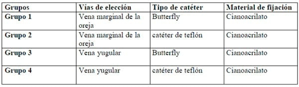 Desarrollo de un sistema para la administración de soluciones hidroeletrolíticas en bovinos - Image 8