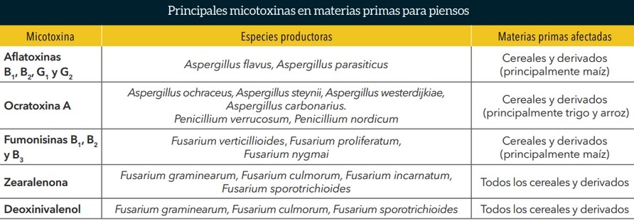 Micotoxinas en alimentación animal: ¿es posible reducir su efecto mediante la adición de adsorbentes a los piensos? - Image 1