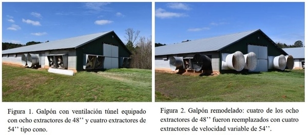 Mejora en los Galpones de Broilers: Extractores Túnel de Velocidad Variable - Image 1