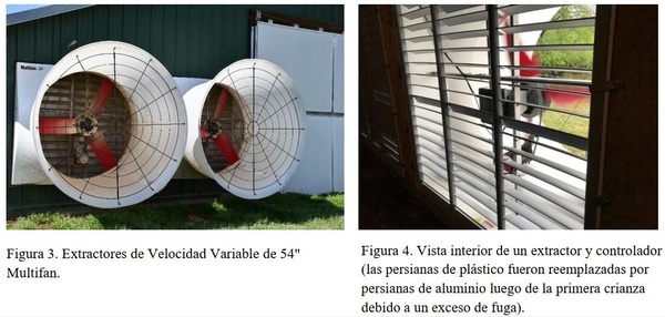 Mejora en los Galpones de Broilers: Extractores Túnel de Velocidad Variable - Image 2