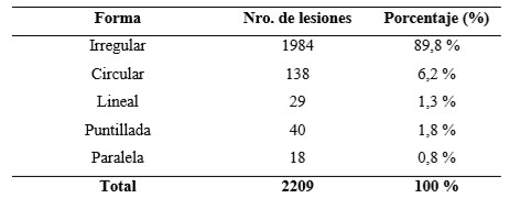 Evaluación de las contusiones y del pH en canales bovinas en un matadero de la provincia de Santa Fe - Image 3