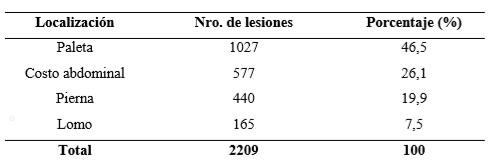 Evaluación de las contusiones y del pH en canales bovinas en un matadero de la provincia de Santa Fe - Image 7