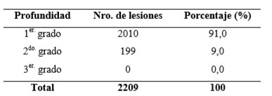 Evaluación de las contusiones y del pH en canales bovinas en un matadero de la provincia de Santa Fe - Image 6