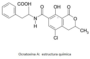 Cacao: Hongos y Micotoxinas - Image 1