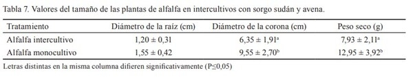 Producción de biomasa aérea y uso equivalente de la tierra en intercultivos de alfalfa (Medicago sativa L.) - Image 8
