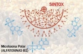Contaminación fúngica y control en la industria de los alimentos balanceados - Image 1