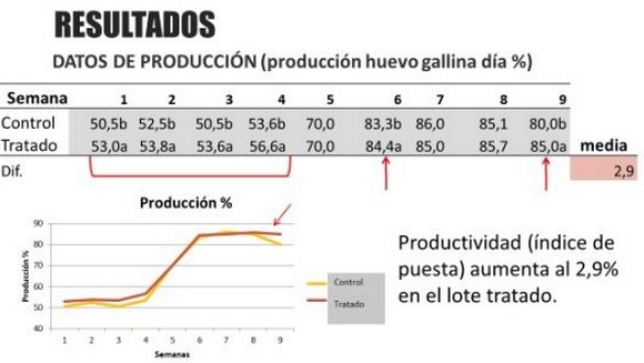 La salud intestinal y su relación con la calidad del huevo - Image 3