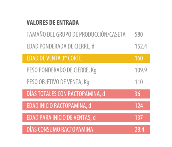 Finalizando cerdos con valor - Image 2
