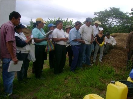 Dialogando con la huerta ancestral en Loja para el manejo de la humedad y fertilidad - Image 9