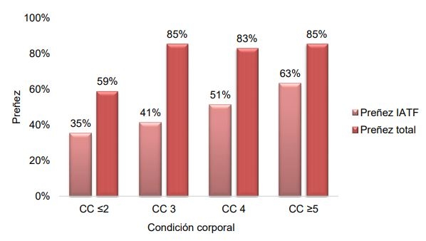 Módulo Demostrativo de Destete Hiperprecoz: Resultados obtenidos en la cría, destete y recría durante el ciclo productivo 2018/19 - Image 15