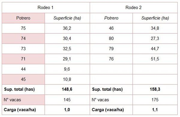 Módulo Demostrativo de Destete Hiperprecoz: Resultados obtenidos en la cría, destete y recría durante el ciclo productivo 2018/19 - Image 6