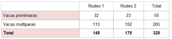 Módulo Demostrativo de Destete Hiperprecoz: Resultados obtenidos en la cría, destete y recría durante el ciclo productivo 2018/19 - Image 4