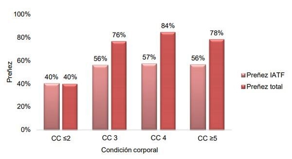 Módulo Demostrativo de Destete Hiperprecoz: Resultados obtenidos en la cría, destete y recría durante el ciclo productivo 2018/19 - Image 16