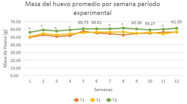 Evaluación de los parámetros productivos y calidad del huevo de gallinas en dos sistemas de alojamiento</br><sub>(Piso convencional con suplementación de Sauco (Sambucus nigra) y Pastoreo con Kikuyo (Pennisetum clandestinum) en la Sabana de Bogotá”</sub> - Image 17