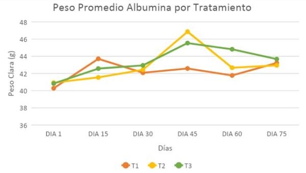 Evaluación de los parámetros productivos y calidad del huevo de gallinas en dos sistemas de alojamiento</br><sub>(Piso convencional con suplementación de Sauco (Sambucus nigra) y Pastoreo con Kikuyo (Pennisetum clandestinum) en la Sabana de Bogotá”</sub> - Image 31