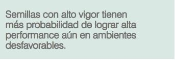 Cosecharás tu siembra. Aporte del vigor y la calibración de las semillas al rendimiento de grano - Image 10