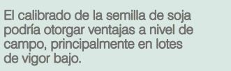 Cosecharás tu siembra. Aporte del vigor y la calibración de las semillas al rendimiento de grano - Image 11