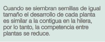 Cosecharás tu siembra. Aporte del vigor y la calibración de las semillas al rendimiento de grano - Image 5
