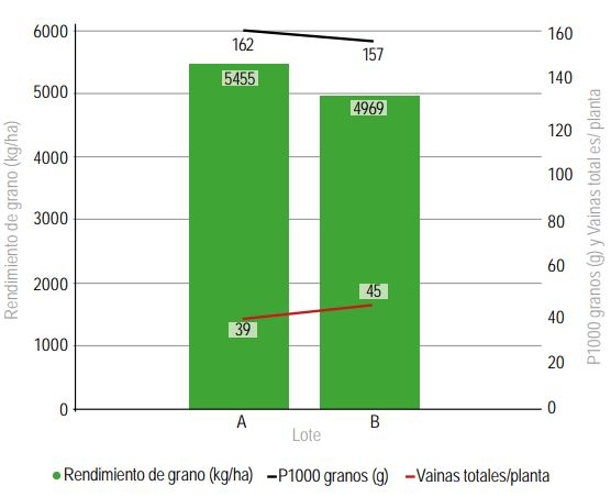 Cosecharás tu siembra. Aporte del vigor y la calibración de las semillas al rendimiento de grano - Image 4