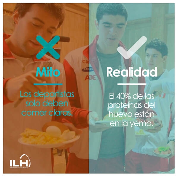 Día Mundial del Huevo - Image 7