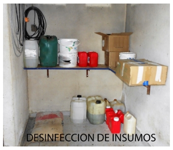 Como extremar las medidas de bioseguridad para evita el ingreso de la peste porcina africana - Image 8