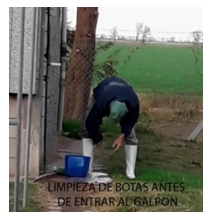 Como extremar las medidas de bioseguridad para evita el ingreso de la peste porcina africana - Image 9