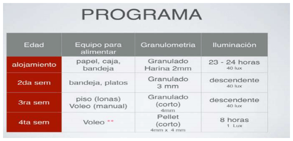 Sistemas alternativos de alimentación automatizada y su efecto en la productividad - Image 3