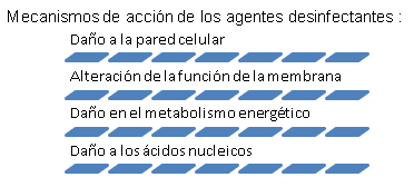 Factores para diseñar un correcto programa de limpieza y desinfección en incubadoras - Image 1