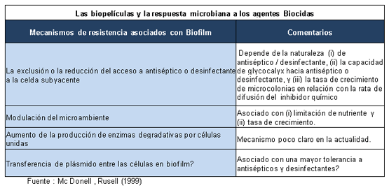 Biopelícula y su efecto sobre la persistencia de bacterias en los ambientes de incubación - Image 1