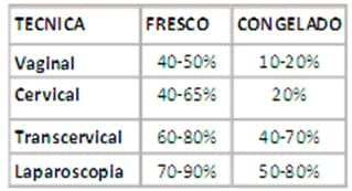 Puntos críticos Ovinos de Carne II - Image 28