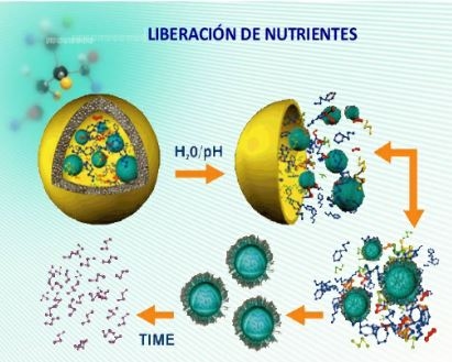 La nanonutricion es la nutrición animal del futuro - Image 5