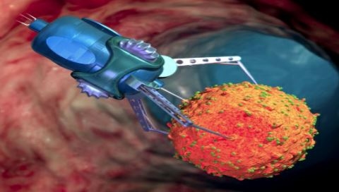 La nanonutricion es la nutrición animal del futuro - Image 7