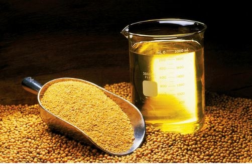 La nanonutricion es la nutrición animal del futuro - Image 1