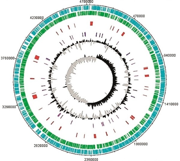 Caracterización genómica de una cepa de Salmonella enterica subsp. enterica serotipo Infantis, aislado en pollos procedentes de una granja del sur chico de Perú - Image 5