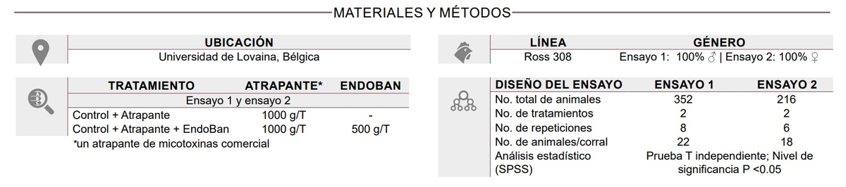 Efecto de un aditivo para combatir endotoxinas en el desempeño de pollos de engorde - Image 1