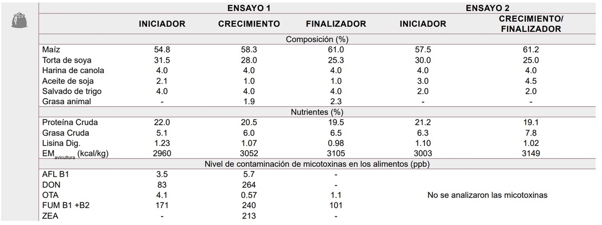 Efecto de un aditivo para combatir endotoxinas en el desempeño de pollos de engorde - Image 2