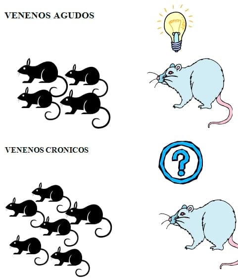 Biología y Control de Roedores - Image 7