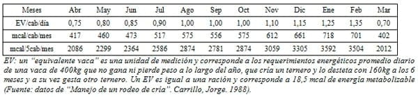 Cría bovina Intensiva en campos maiceros pastoreo de rastrojos de maíz y soja - Image 2