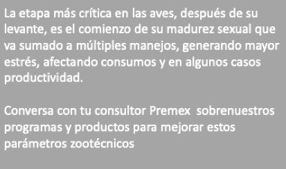 Nutrición en ponedoras: Lo que debemos saber sobre la etapa de producción - Image 2