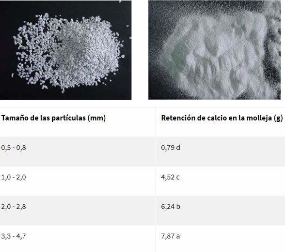 Nutrición en ponedoras: Lo que debemos saber sobre la etapa de producción - Image 4