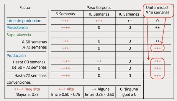 Nutrición en ponedoras: Lo que debemos saber sobre la etapa de producción - Image 3