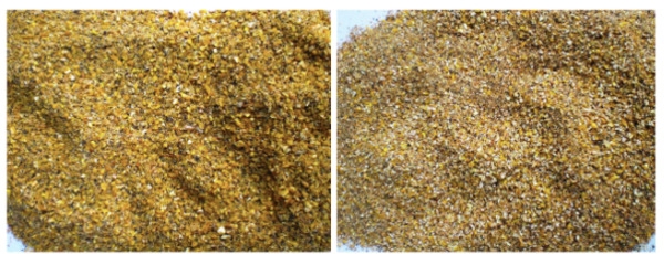 Nutrición en ponedoras: Lo que debemos saber sobre la etapa de producción - Image 5