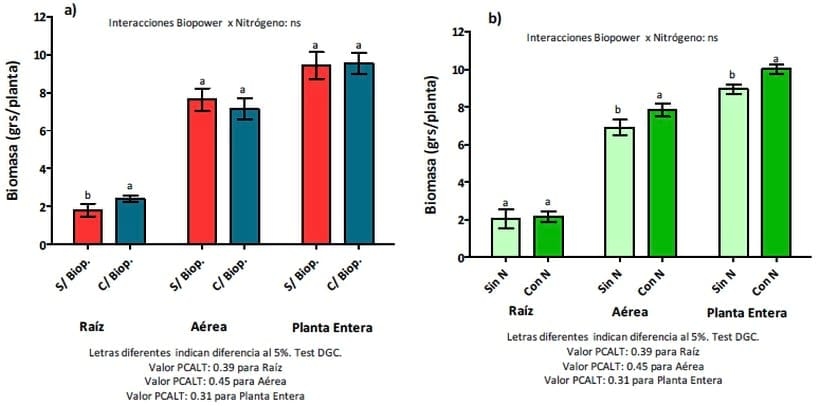 Evaluación de Inoculantes y Biofertilizantes en Maiz - Image 5